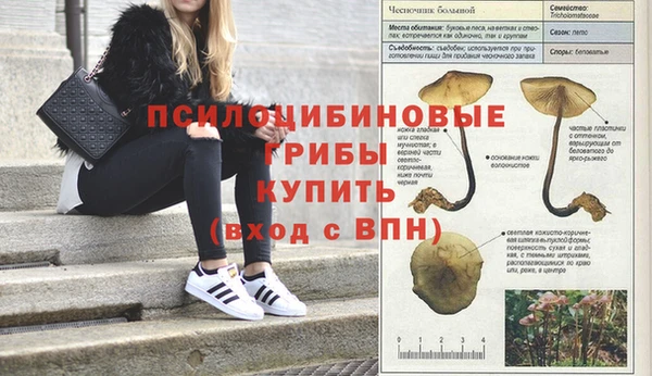 дживик Краснотурьинск