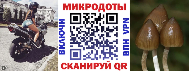 как найти наркотики  Ступино  Псилоцибиновые грибы Psilocybe 